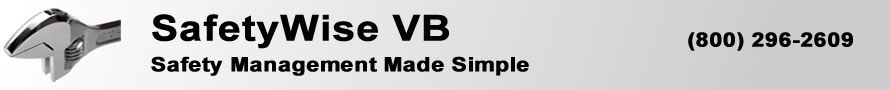 The graphic is the FleetWise VB Fleet Management Software page banner. FleetWise VB is Fleet Maintenance Made Simple.